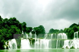 Zona de cascada Ban Gioc devenirá en destino turístico clave de Vietnam