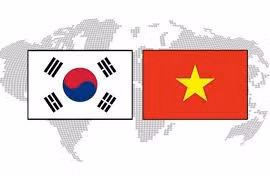 Fanáticos de Hallyu se deleitarán en Festival Cultural Vietnam- Sudcorea