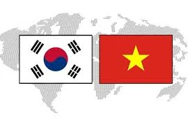 Fanáticos de Hallyu se deleitarán en Festival Cultural Vietnam- Sudcorea