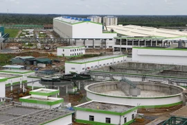 Vietnam y Estados Unidos exploran oportunidad de cooperación en bioenergía