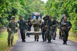 Indonesia rechaza información sobre suspensión de cooperación militar con Australia