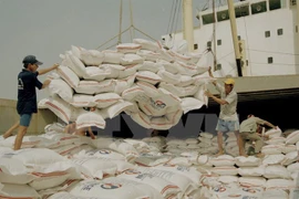 Vietnam figura entre cinco mayores productores de arroz en 2017 