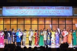 Celebran en Canadá Feria nocturna de invierno en saludo al Año Nuevo Lunar