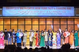 Celebran en Canadá Feria nocturna de invierno en saludo al Año Nuevo Lunar