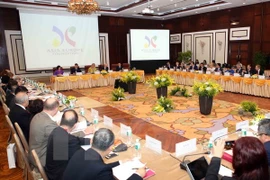 Ciudad vietnamita de Da Nang acoge reunión de gobernadores de ASEF