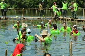 ASEAN por impulsar conservación medioambiental mediante ampliación de manglares