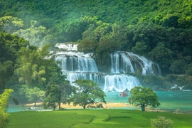 Celebran en provincia norvietnamita festival de turismo de Ban Gioc