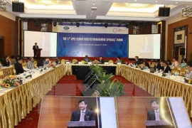 APEC 2017: Efectuarán en Vietnam Cumbre Empresarial