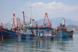 Provincia vietnamita de Tra Vinh respalda a pescadores en acceso a los seguros