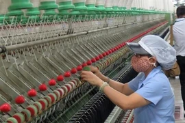 Alemania impulsa proyecto de uso efectivo de energía en empresas vietnamitas 