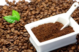 Construyen mayor fábrica de café instantáneo en provincia sudvietnamita
