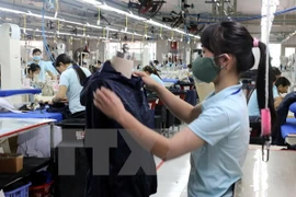 APEC: gran oportunidad para el avance político y económico de Vietnam 