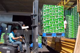 Vietnam logra ingreso presupuestario de 53 mil millones de dólares 