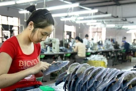 Vietnam se empeña en promover igualdad de género