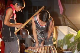 Presentarán instrumentos típicos de etnias vietnamitas en jornada cultural en Hanoi