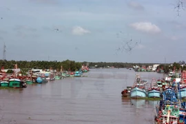 Gobierno de Vietnam aprueba inversión para proyecto hidráulico en el Sur