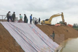 Vicepremier pide a Thanh Hoa seguir de cerca situación de desastres naturales