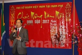 Vietnam espera una mejor conexión empresarial con Sudáfrica