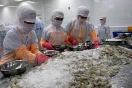 Debaten en Vietnam medidas para elevar valor agregado de productos exportables