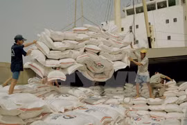Vietnam figura entre cinco mayores productores de arroz en 2017 