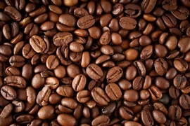 Rebaja de arancel de Brasil ofrece oportunidad a sector cafetero vietnamita 