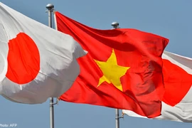 Nexos entre Ciudad Ho Chi Minh y Japón siguen en buena tendencia en diversos sectores