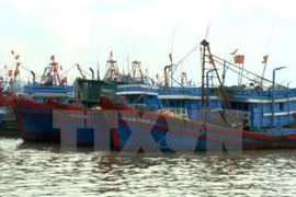 Vietnam impulsa aplicación de tecnologías avanzadas en la pesca