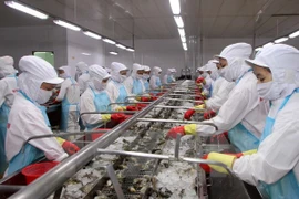Vietnam realiza esfuerzos para erradicar la pesca ilícita