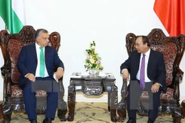 Vietnam y Hungría robustecen lazos multifacéticos