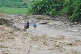 Proyecto de prevención de desastres naturales beneficia a pobladores en Centro de Vietnam