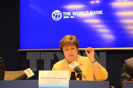 Ciudad Ho Chi Minh y Banco Mundial fomentan cooperación
