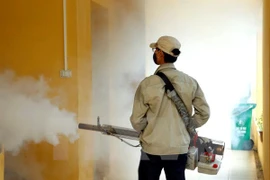 Mayoría de los brotes de dengue en Hanoi están bajo control