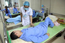 Hanoi reporta disminución de casos de dengue