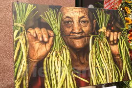 Fotógrafo francés inaugura exposición en Da Nang
