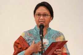 Indonesia pide a ASEAN luchar contra campaña sobre aceite de palma 