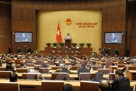 Asamblea Nacional de Vietnam aprueba proyecto de Ley de Gestión de deudas públicas