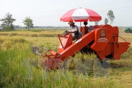 IFC respalda a Vietnam en desarrollo sostenible de agricultura