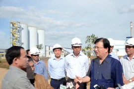 Vicepremier vietnamita exige proteger entorno en fábrica de alumina Nhan Co 