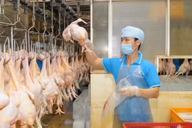 Vietnam exportará primer lote de productos procesados de aves de corral a Japón a fines de 2017