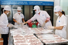 Hanoi espera aumentar número de empresas registradas a 400 mil para 2020