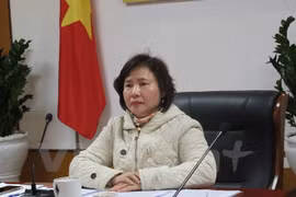 Exigen verificar información sobre bienes de viceministra de Industria y Comercio