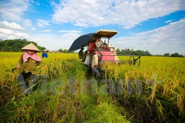 Economías del APEC debaten sobre biotecnología agrícola en la era digital