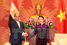 Vietnam y Egipto buscan impulsar nexos interparlamentarios 