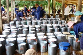 Vietnam ingresa 392 millones de dólares por exportaciones de caucho