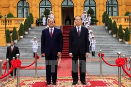 Medios de comunicación egipcios destacan experiencias de Vietnam en renovación nacional