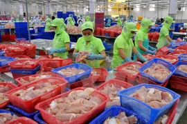 Vietnam ingresa fondo multimillonario por venta al exterior de productos acuáticos 