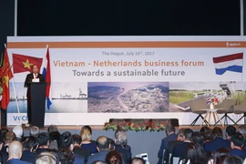 Enfrentamiento a cambio climático: sector potencial para colaboración Vietnam- Países Bajos 
