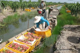 Exigen levantar la suspensión india de compra de productos vietnamitas 