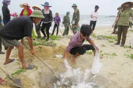 Revisan préstamos por impacto de incidente ambiental en provincias costeras de Vietnam