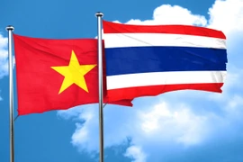 Profesores vietnamitas residentes en Tailandia visitan la Patria
